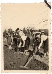 Foto einer Gruppe Jugendlicher bei Feldarbeiten